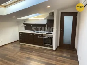 Pronájem bytu 1+kk, Opava, Hviezdoslavova, 47 m2