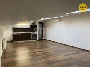 Pronájem bytu 1+kk, Opava, Hviezdoslavova, 47 m2
