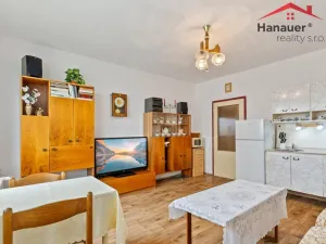 Prodej bytu 2+kk, Ústí nad Labem - Severní Terasa, Šrámkova, 40 m2