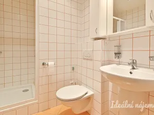 Pronájem bytu 1+1, Brno, Chalabalova, 42 m2