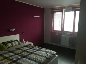 Pronájem bytu 2+1, Praha, Čílova, 54 m2