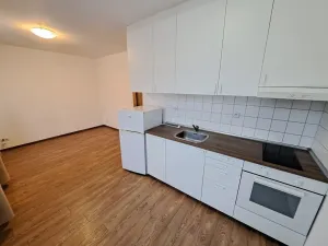 Pronájem bytu 1+kk, Brno, Nad Přehradou, 24 m2