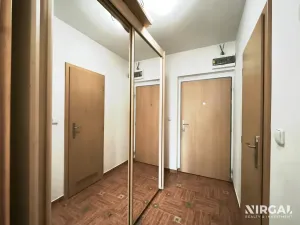 Pronájem bytu 1+kk, Praha - Michle, V dolině, 56 m2