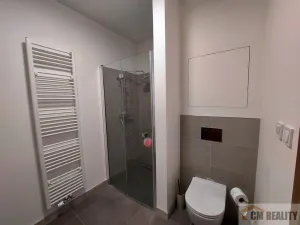 Pronájem bytu 2+kk, Olomouc - Hodolany, Holická, 55 m2