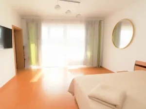 Prodej bytu 1+kk, Praha - Dejvice, Lindleyova, 34 m2