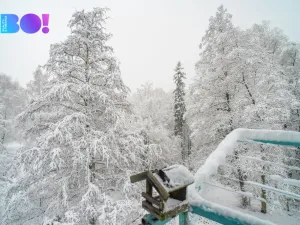 Prodej bytu 3+kk, Havířov - Město, Jaroslava Seiferta, 67 m2