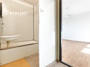 Prodej bytu 1+1, Hrob, Rybniční, 27 m2