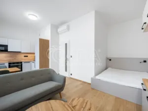 Pronájem bytu 1+kk, Praha, Pobřežní, 35 m2