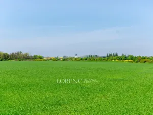 Prodej pozemku, Praha - Kbely, Ponikelská, 707 m2