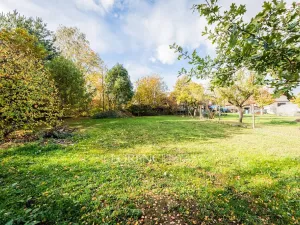 Prodej rodinného domu, Žáky - Štrampouch, 90 m2