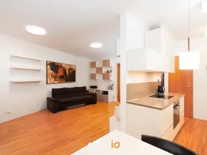 Pronájem bytu 3+kk, Brno, Kopečná, 99 m2