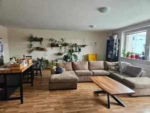 Pronájem bytu 3+kk, Pardubice, třída Míru, 118 m2