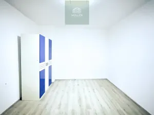 Pronájem rodinného domu, Plzeň - Východní Předměstí, Plzenecká, 108 m2