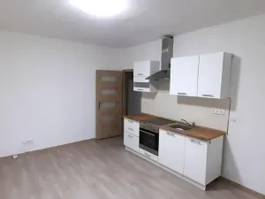 Pronájem bytu 3+kk, Most, Josefa Skupy, 51 m2