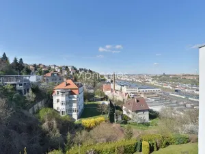 Pronájem vily, Praha - Smíchov, Nový Zlíchov, 800 m2