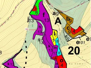 Dražba lesa, Bouzov, 2554 m2