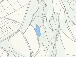 Dražba louky, Bouzov, 1043 m2