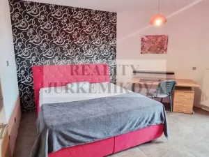 Pronájem bytu 1+kk, České Budějovice - České Budějovice 7, Janáčkova, 25 m2