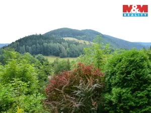 Prodej rodinného domu, Štěpánov nad Svratkou, 110 m2