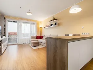 Prodej bytu 2+kk, Plzeň, Sladová, 54 m2