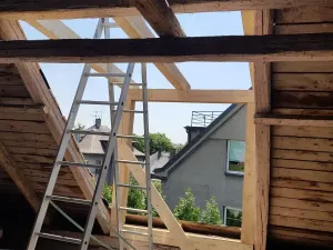 Prodej rodinného domu, Ostrava - Zábřeh, Dolní, 447 m2