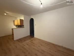 Pronájem bytu 2+kk, Litvínov - Hamr, Hamerská, 40 m2