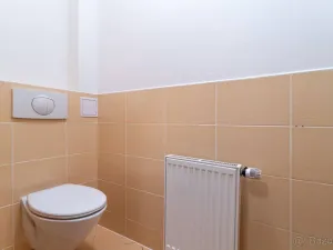 Pronájem vícegeneračního domu, Zlončice, 95 m2