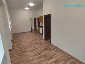 Pronájem bytu 3+kk, Luby, Revoluční, 56 m2