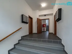 Pronájem bytu 3+kk, Luby, Revoluční, 56 m2