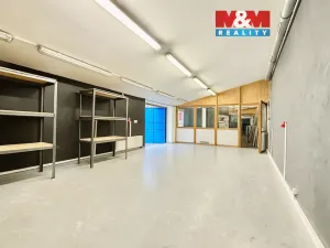 Pronájem výrobních prostor, Praha - Letňany, Beranových, 46 m2