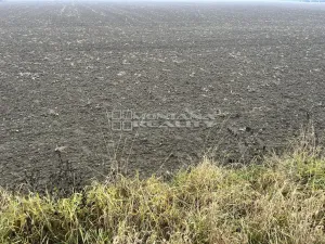 Prodej pole, Troubky, 33891 m2