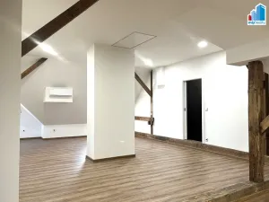 Pronájem bytu 1+1, Příkosice, 100 m2