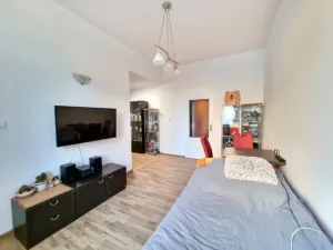 Pronájem bytu 1+kk, České Budějovice - České Budějovice 3, Nová, 26 m2