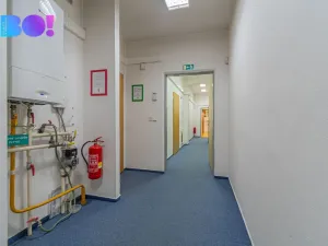 Pronájem kanceláře, Olomouc, Riegrova, 174 m2