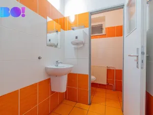 Pronájem kanceláře, Olomouc, Riegrova, 174 m2