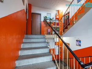 Prodej bytu 1+1, Luby, Tovární, 36 m2