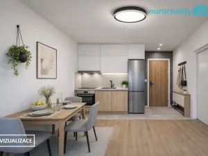 Prodej bytu 1+1, Luby, Tovární, 36 m2