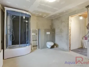 Prodej vícegeneračního domu, Těšovice, 540 m2