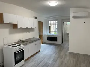 Pronájem bytu 1+kk, Teplice, Souběžná, 50 m2