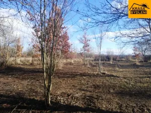 Prodej zahrady, Olomouc, 470 m2