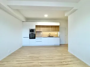 Pronájem bytu 1+kk, Opava - Kateřinky, Rolnická, 31 m2
