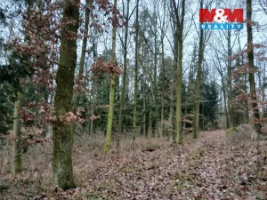 Prodej lesa, Krašlovice, 9178 m2