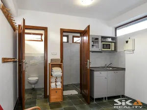 Prodej ubytování, Peruc, Oldřichova, 180 m2