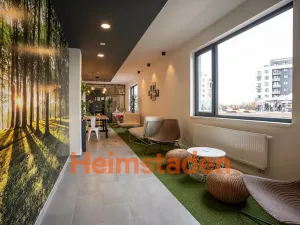 Pronájem bytu 1+kk, Plzeň - Jižní Předměstí, Magisterská, 27 m2