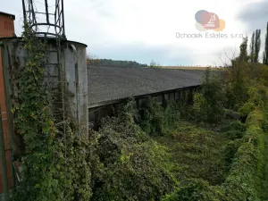 Prodej výrobních prostor, Bohdalice-Pavlovice, 1300 m2