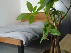 Pronájem bytu 1+kk, Brno - Královo Pole, Boženy Němcové, 25 m2