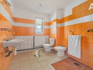 Prodej výrobních prostor, Velká Chmelištná, 550 m2