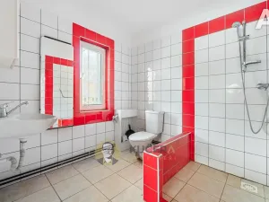 Prodej rodinného domu, Velká Chmelištná, 550 m2