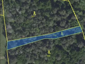 Prodej lesa, Chářovice, 617 m2