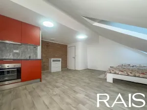 Pronájem bytu 1+kk, Brno, Bašty, 40 m2